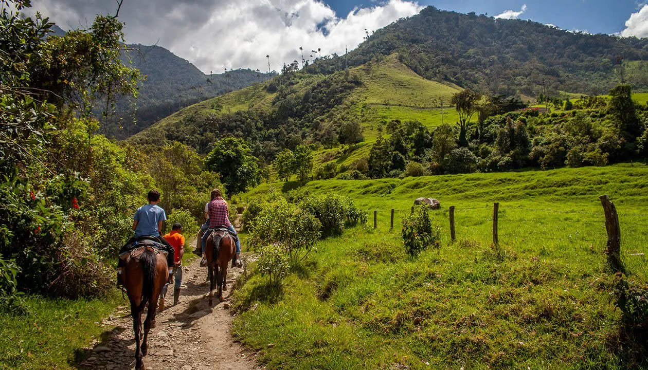 horseback riding in colombia's coffee region