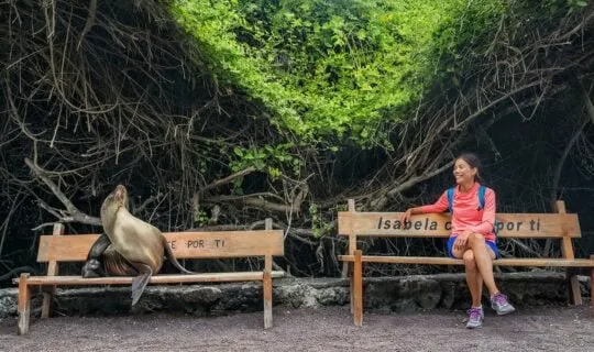girl with sea lion in the galapagos