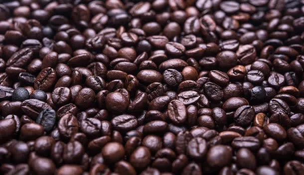 coffee beans in colombia