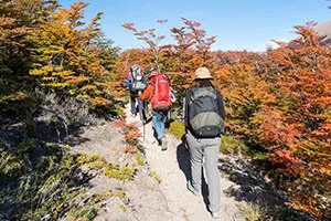 group tours - Travel Myths