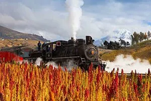 Tren Crucero - Travel Myths