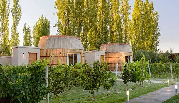 wine caves at villa mansa