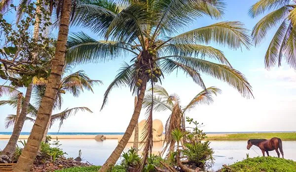 Tayrona National Park - Colombia Tours 