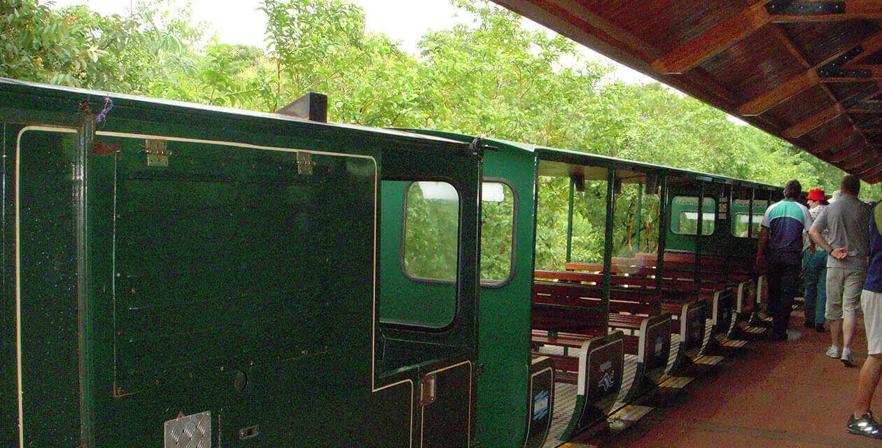train carrying passengers in Iguazu