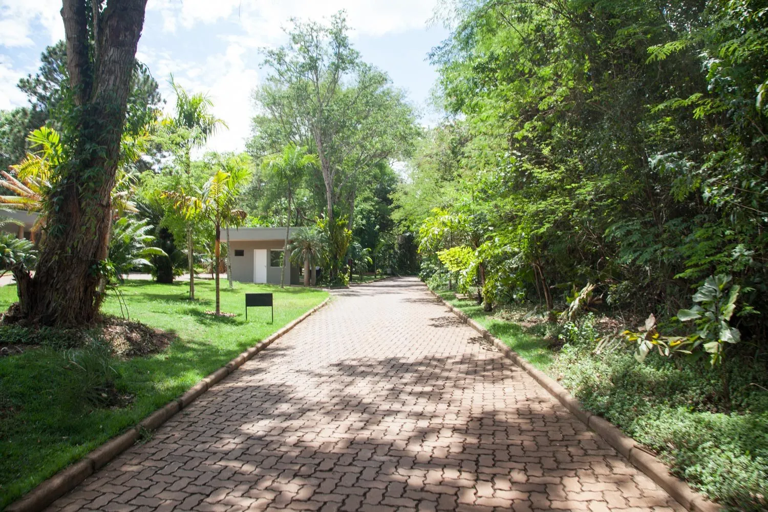 inhotim-museum-photo-13