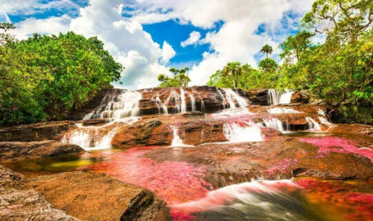 the-river-of-five-colors-colombia