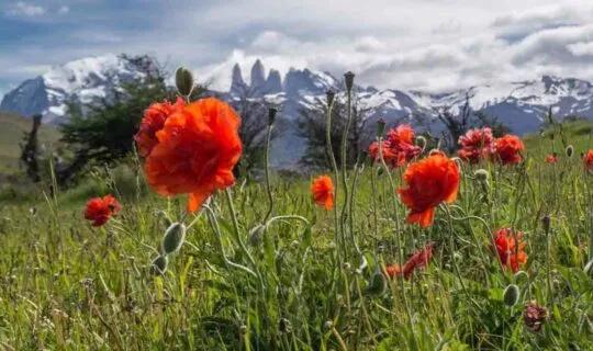 10-days-in-Argentina-the-land-of-contrast