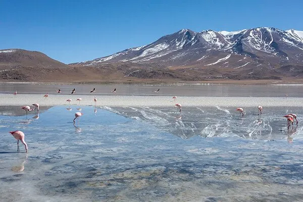 machu picchu and uyuni tour guide