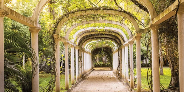 Botanical Gardens in Rio de Janeiro