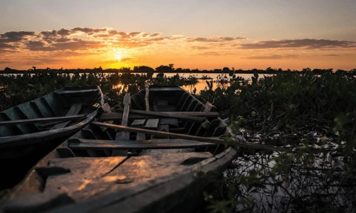 Pantanal Wetlands, Paraguay