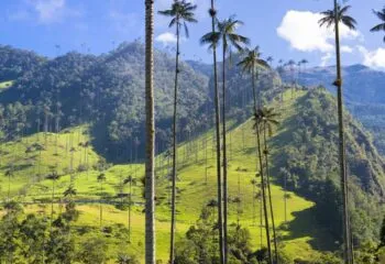 colombia-tours-in-the-coffee-region