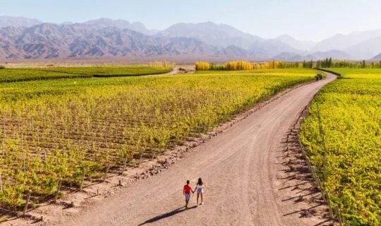 couple walking around a beautiful winery with mountain views