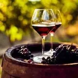 Wine Tours South America