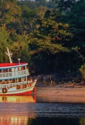 Amazon River Cruise during Sunset