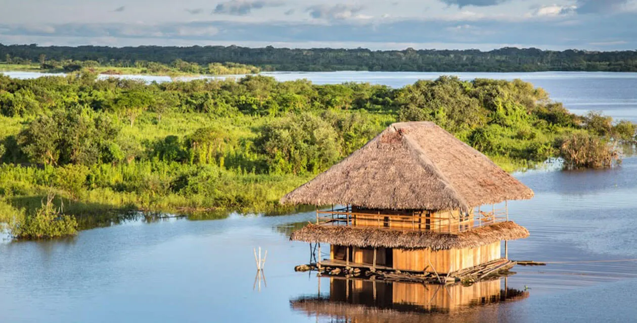 hut in the peruvian amazon rainforest