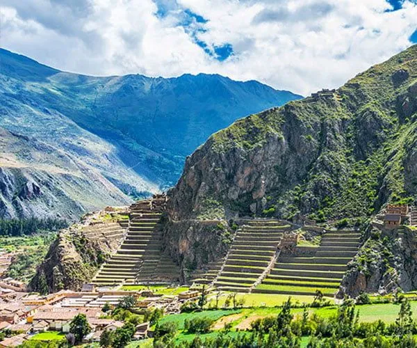 Unique terraced farm on agricultural tour