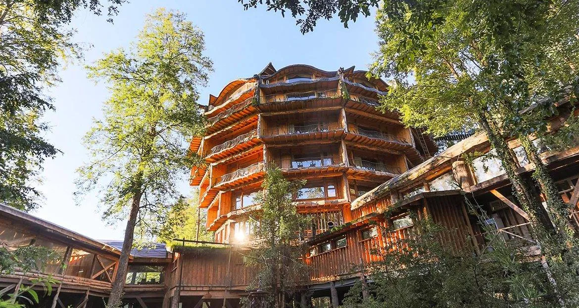 huilo-huilo-reserve-unique-facade-surrounded-by-trees