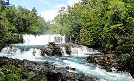 serene-mountain-creek-flowing-through-forest