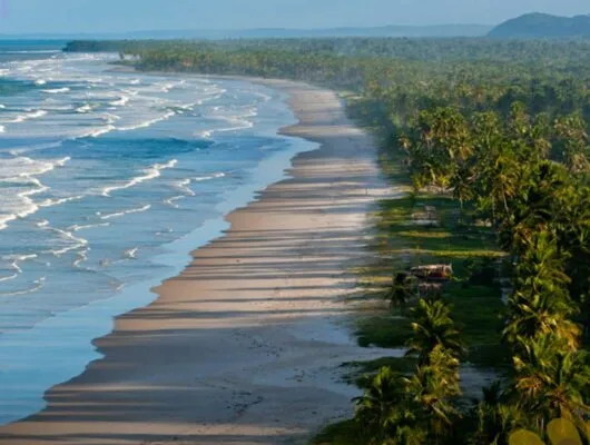 Beach area at Kiaroa Eco-Luxury Resort