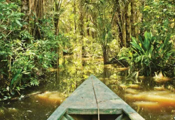 Canoeing on the Amazon river on a Peruvian Amazon tour