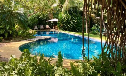 Beautiful pool area of hotel surrounded by junglge