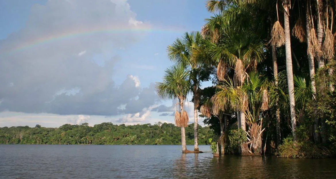 beautiful-lake-with-jungle-shore