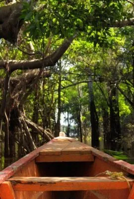 Amazon Adventure Tours