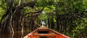 Amazon Adventure Tours