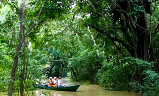 Group of travelers canoe through Amazon