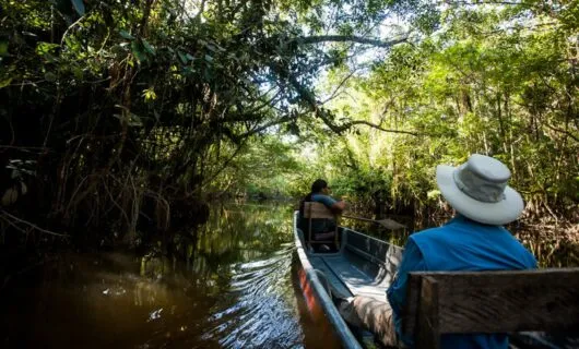 Amazon jungle canoe ride
