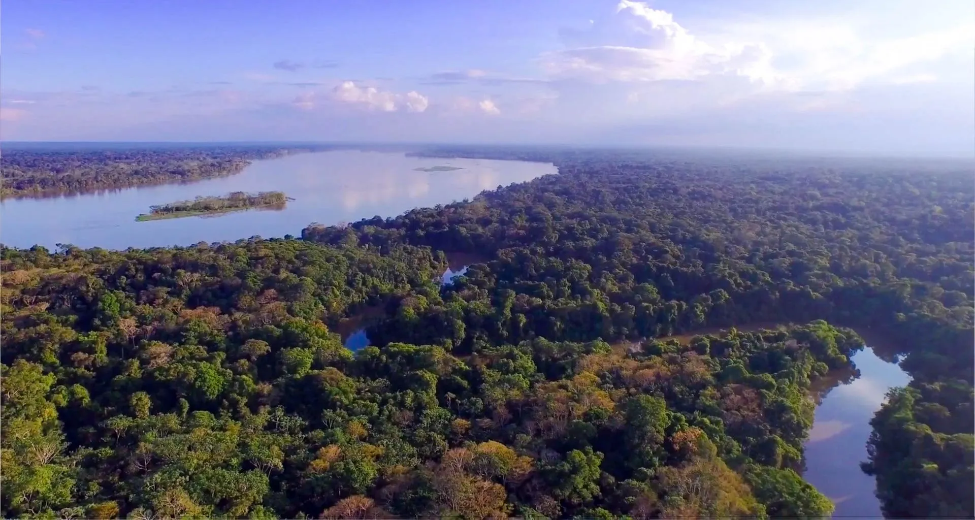 Aerial view of Amazon river