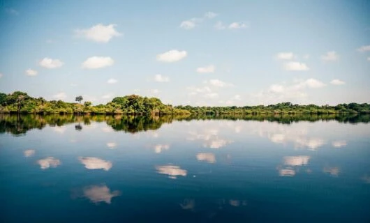Long view of Amazon river coast