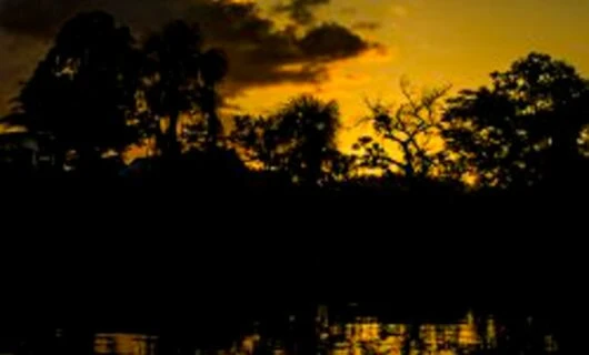 Sunset over shadowy banks of Amazon river