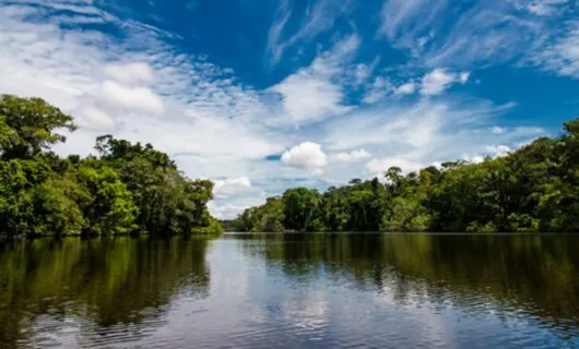 Wide view of Amazon river and forested banks