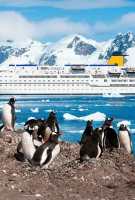 Penguins stand on shore waiting to get back on their ship for their Antarctica Cruise. near Antarctica cruise boat