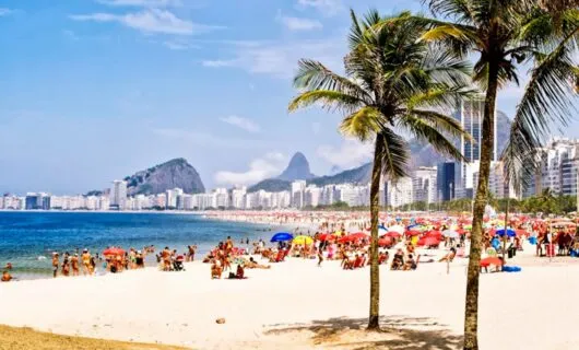 Palm trees on Copacabana
