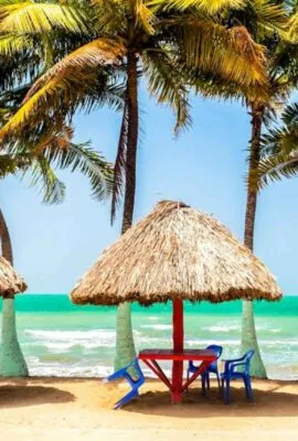 Colombia beach seating area with palm trees