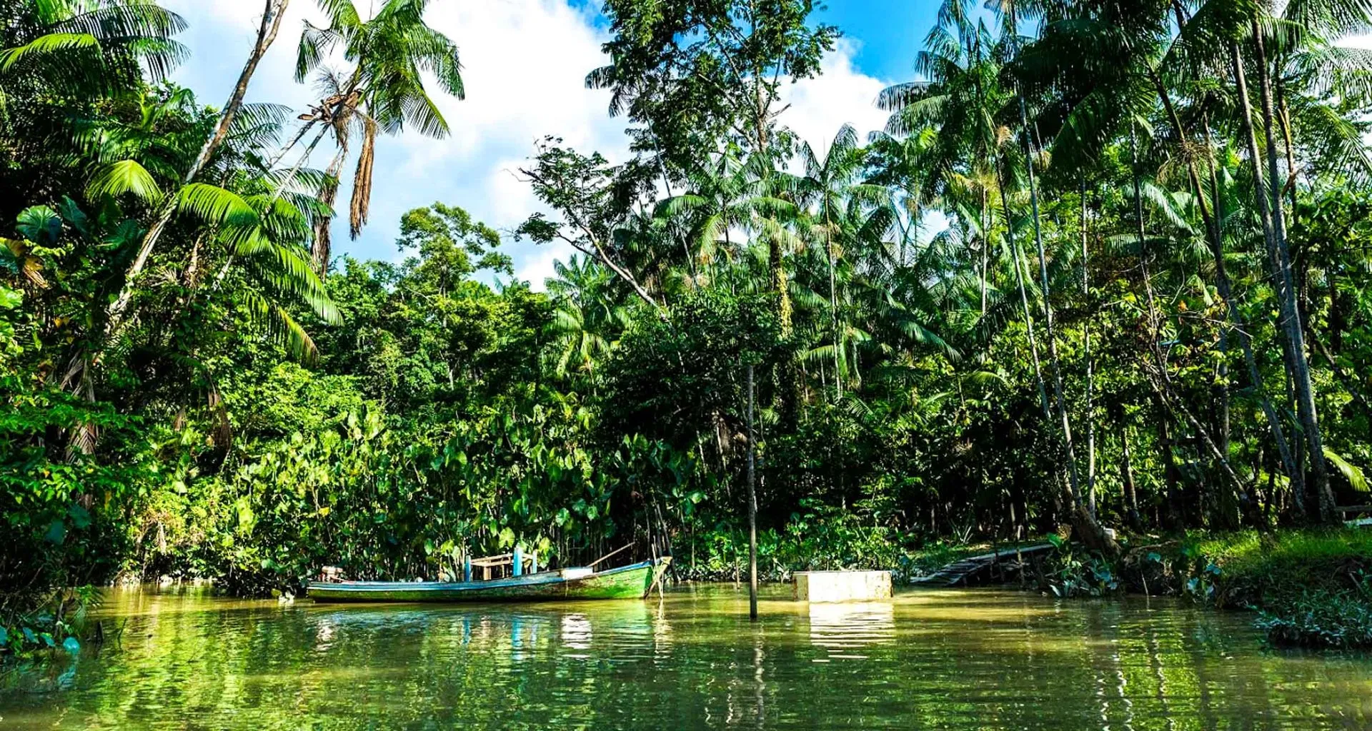Boat in the wetlands of Brazil
