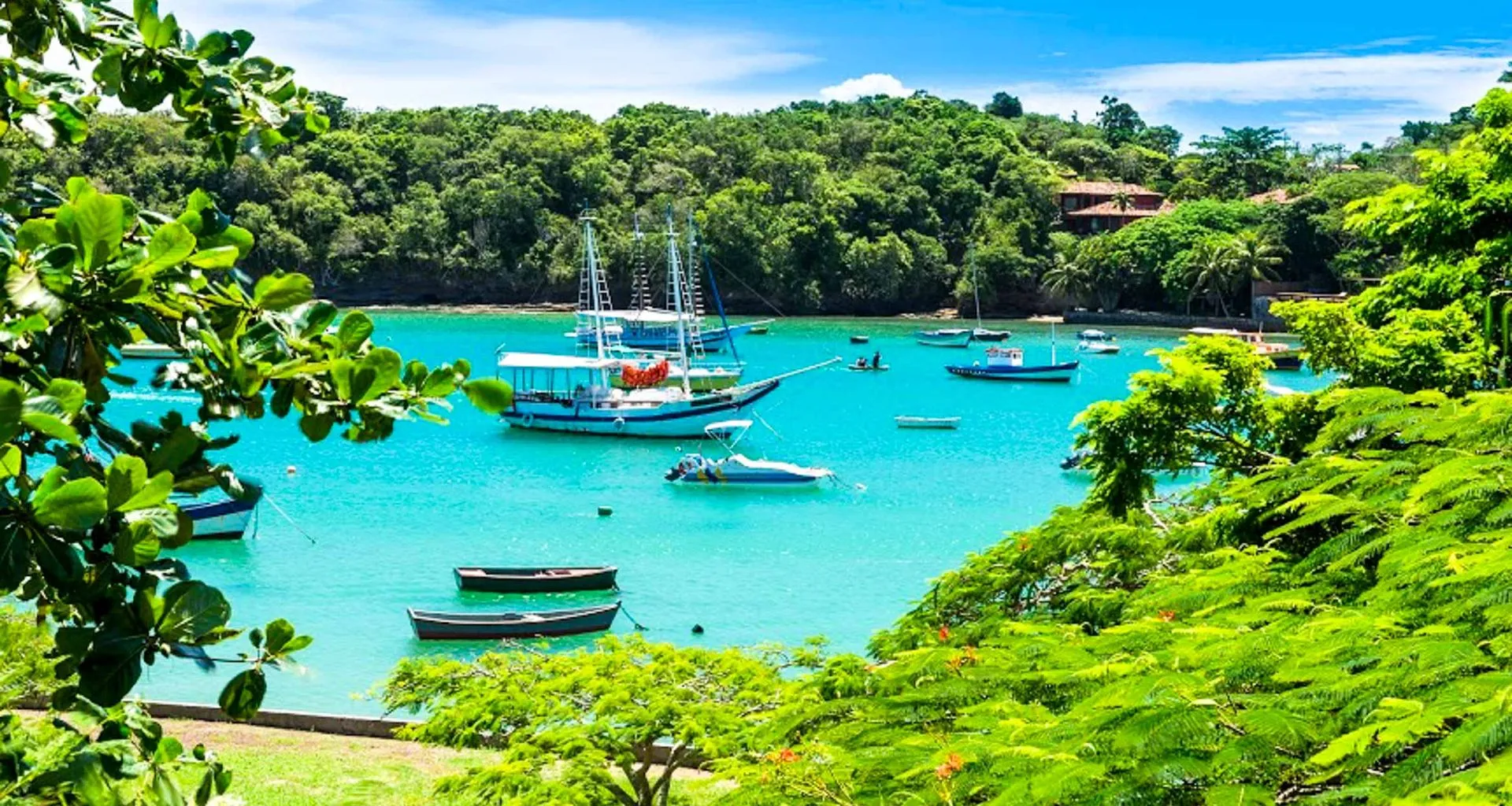 Boats on a river in Brazil