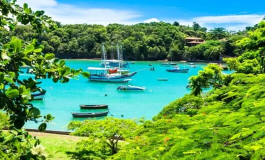 Boats on a river in Brazil