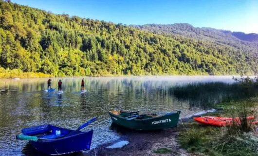 Travelers paddleboard across river away from moored boats