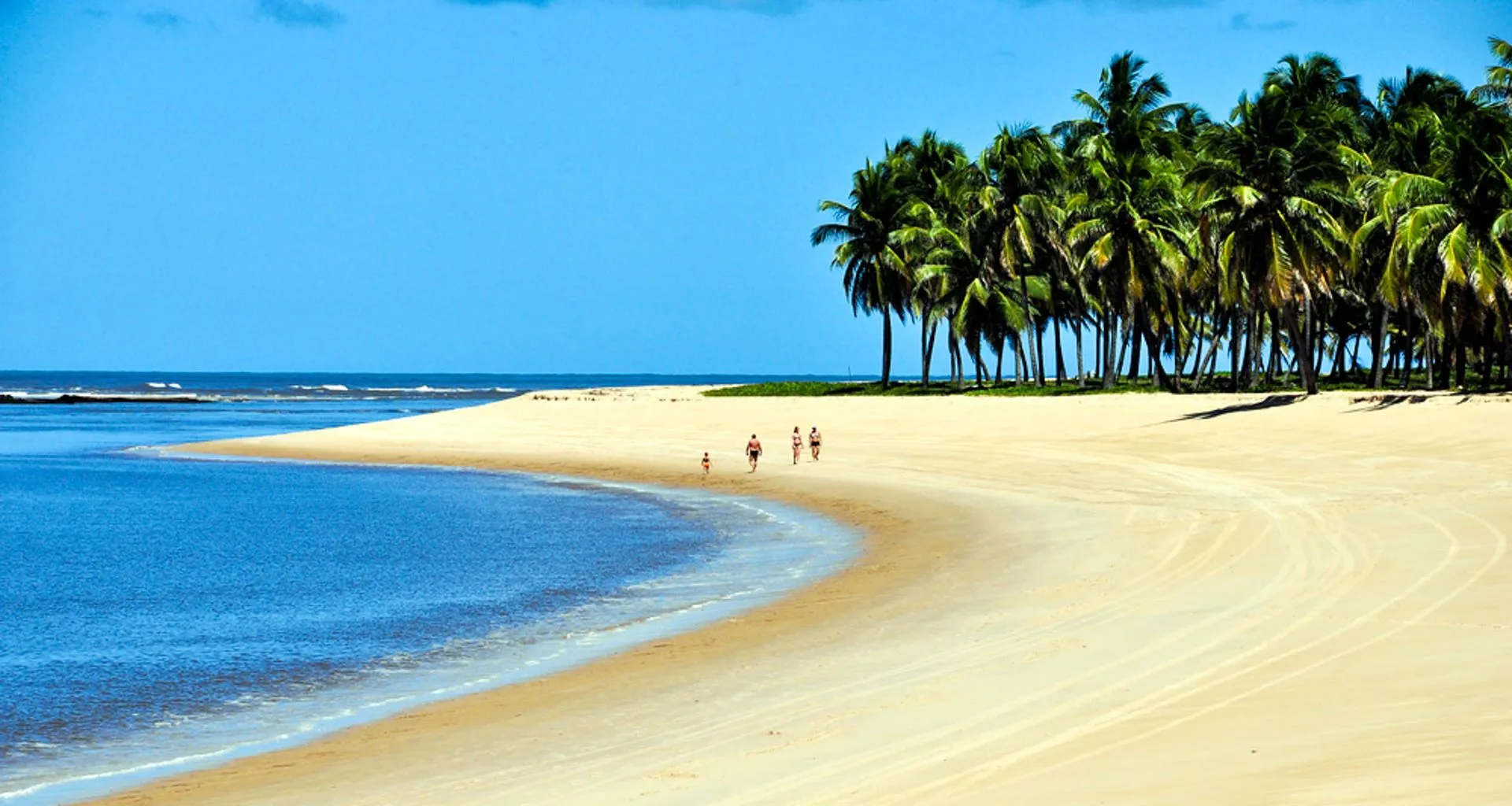 Group walks down Brazil beach past trees