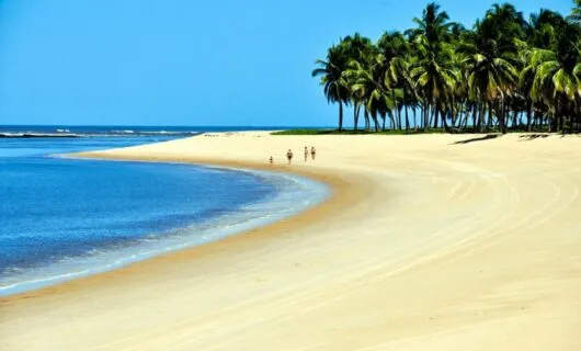 Group walks down Brazil beach past trees