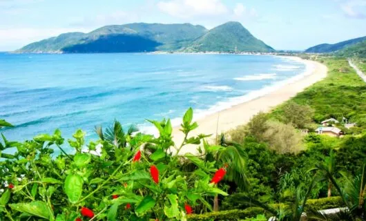 View down Brazil coast