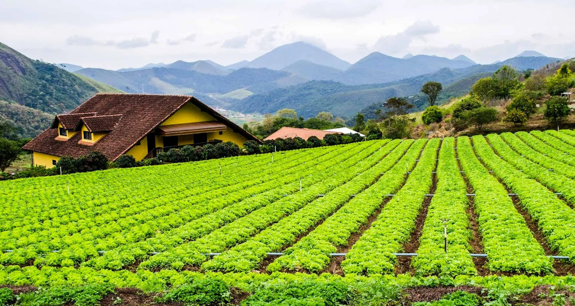 Farm field in Brazil with house and mountains behind