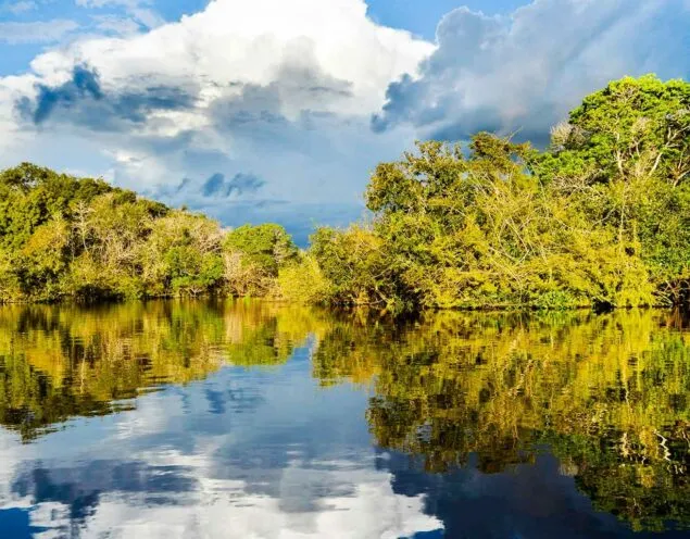 River in the Brazil Amazon