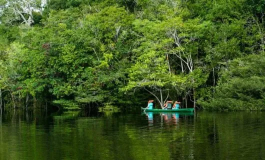 Travelers paddle canoe down Amazon river near forested bank