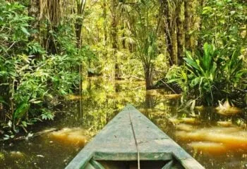 canoe cruising on the amazon river