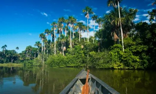 Paddle rests in prow of canoe on Amazon river