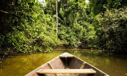 Prow of wooden canoe floating down forest river